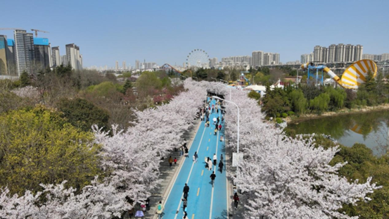 640362626.png 640362626.png